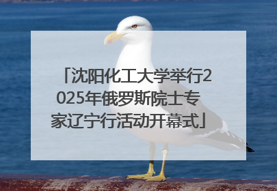 沈阳化工大学举行2025年俄罗斯院士专家辽宁行活动开幕式