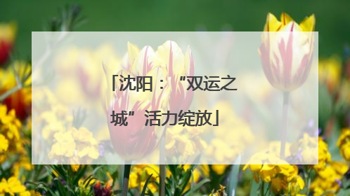 沈阳：“双运之城”活力绽放