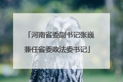 河南省委副书记张巍兼任省委政法委书记