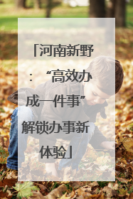 河南新野：“高效办成一件事”解锁办事新体验