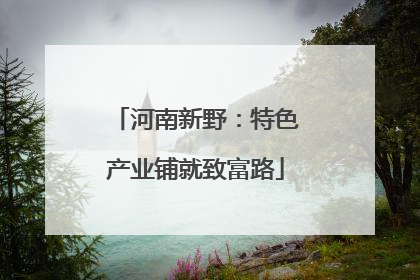河南新野：特色产业铺就致富路