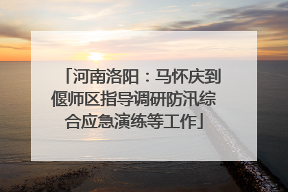 河南洛阳：马怀庆到偃师区指导调研防汛综合应急演练等工作