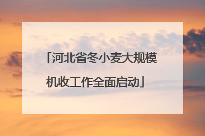 河北省冬小麦大规模机收工作全面启动
