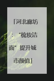 河北廊坊：“梳妆洁面”提升城市颜值