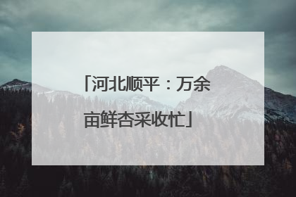 河北顺平：万余亩鲜杏采收忙