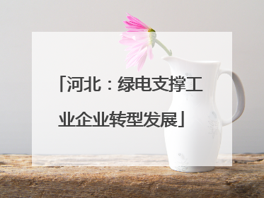 河北：绿电支撑工业企业转型发展