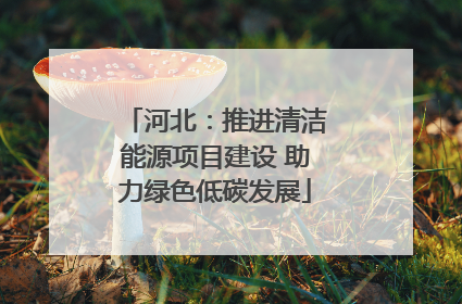 河北：推进清洁能源项目建设 助力绿色低碳发展