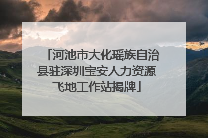 河池市大化瑶族自治县驻深圳宝安人力资源飞地工作站揭牌