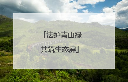 法护青山绿 共筑生态屏