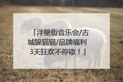 泮壁街音乐会/古城躲猫猫/品牌福利3天狂欢不停歇！