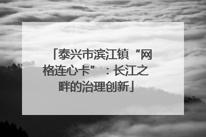 泰兴市滨江镇“网格连心卡”：长江之畔的治理创新