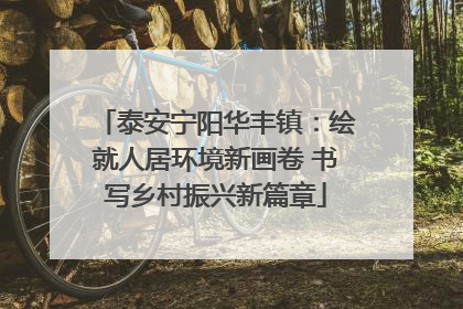 泰安宁阳华丰镇：绘就人居环境新画卷 书写乡村振兴新篇章