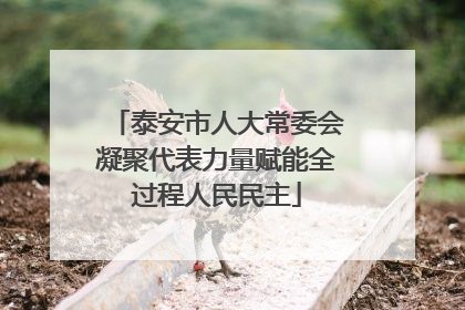 泰安市人大常委会凝聚代表力量赋能全过程人民民主
