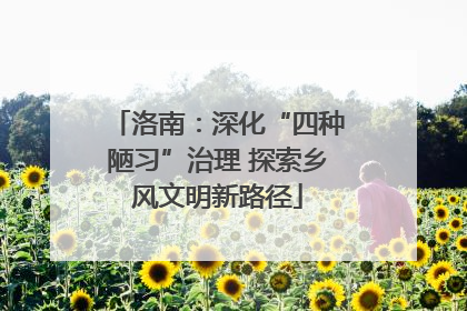 洛南：深化“四种陋习”治理 探索乡风文明新路径
