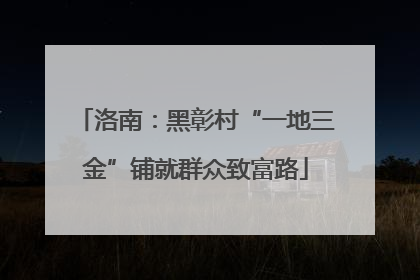 洛南：黑彰村“一地三金”铺就群众致富路