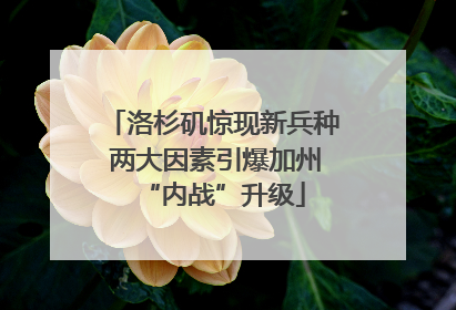 洛杉矶惊现新兵种 两大因素引爆加州“内战”升级