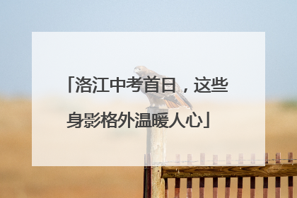 洛江中考首日，这些身影格外温暖人心