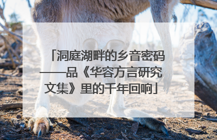 洞庭湖畔的乡音密码——品《华容方言研究文集》里的千年回响