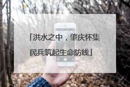 洪水之中，肇庆怀集民兵筑起生命防线