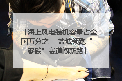 海上风电装机容量占全国五分之一 盐城领跑“零碳”赛道闯新路