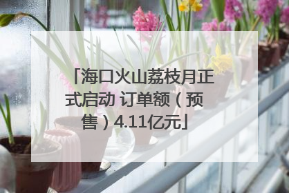 海口火山荔枝月正式启动 订单额（预售）4.11亿元