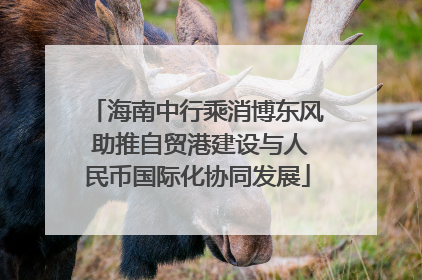 海南中行乘消博东风 助推自贸港建设与人民币国际化协同发展