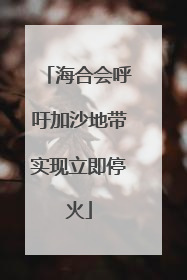 海合会呼吁加沙地带实现立即停火