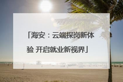 海安：云端探岗新体验 开启就业新视界
