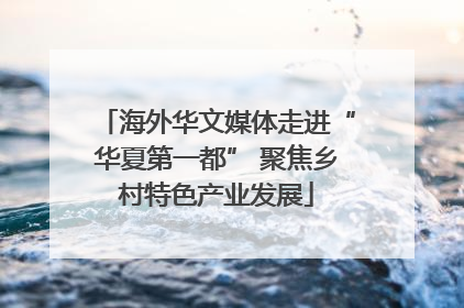 海外华文媒体走进“华夏第一都” 聚焦乡村特色产业发展