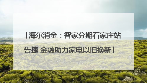 海尔消金：智家分期石家庄站告捷 金融助力家电以旧换新