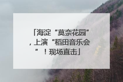 海淀“莫奈花园”，上演“稻田音乐会”！现场直击