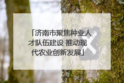 济南市聚焦种业人才队伍建设 推动现代农业创新发展