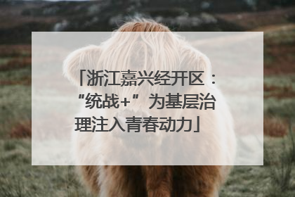 浙江嘉兴经开区：“统战+”为基层治理注入青春动力