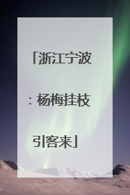 浙江宁波：杨梅挂枝引客来