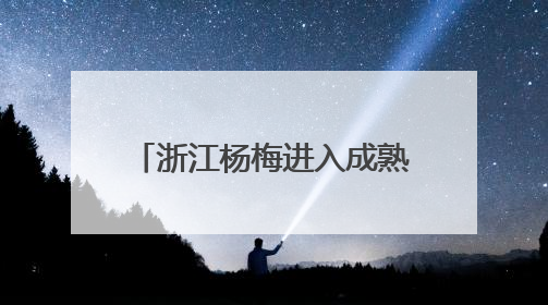 浙江杨梅进入成熟上市期 今年总产量预计74万吨