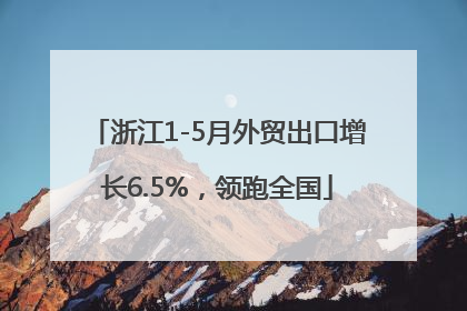 浙江1-5月外贸出口增长6.5%，领跑全国