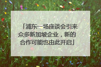浦东一场座谈会引来众多新加坡企业，新的合作可能也由此开启