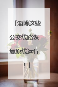 淄博这些公交线路恢复原线运行！