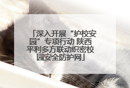 深入开展“护校安园”专项行动 陕西平利多方联动织密校园安全防护网