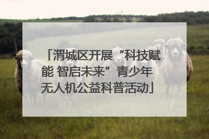 渭城区开展“科技赋能 智启未来”青少年无人机公益科普活动