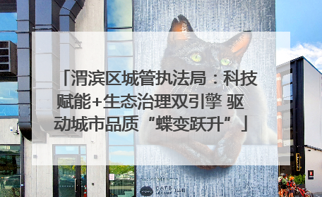 渭滨区城管执法局：科技赋能+生态治理双引擎 驱动城市品质“蝶变跃升”