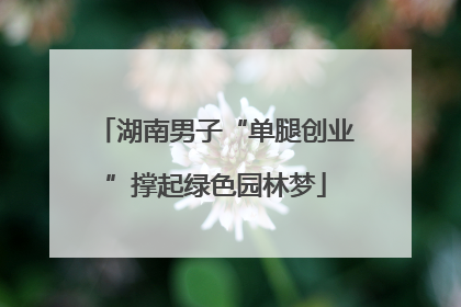 湖南男子“单腿创业”撑起绿色园林梦