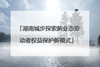 湖南城步探索新业态劳动者权益保护新模式