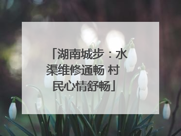 湖南城步：水渠维修通畅 村民心情舒畅