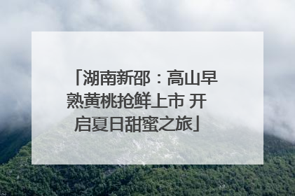 湖南新邵：高山早熟黄桃抢鲜上市 开启夏日甜蜜之旅