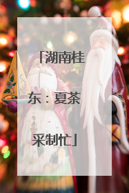 湖南桂东：夏茶采制忙