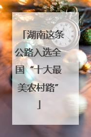 湖南这条公路入选全国“十大最美农村路”