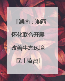 湖南：湘西怀化联合开展改善生态环境民主监督