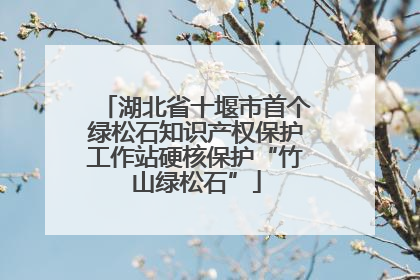 湖北省十堰市首个绿松石知识产权保护工作站硬核保护“竹山绿松石”