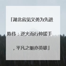 湖北省见义勇为先进陈伟：逆火而行伸援手，平凡之躯亦英雄